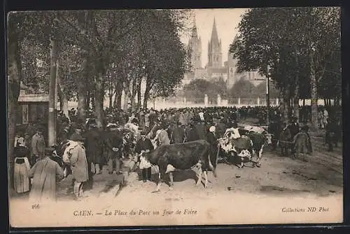 AK Caen, la Place du Parc un jour de Foire