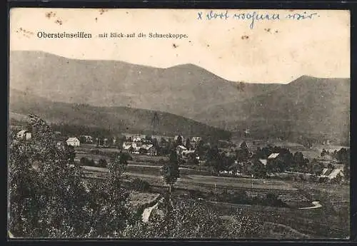 AK Obersteinseiffen, Gesamtansicht mit Schneekoppe