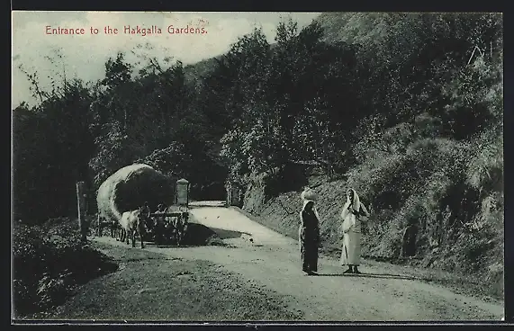 AK Ceylon, Entrance to the Hakgalla Gardens