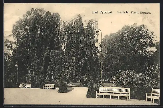 AK Bad Pyrmont, Partie im Fürstl. Kurpark