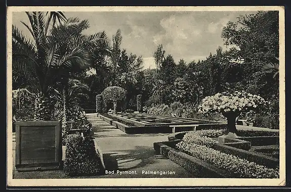 AK Bad Pyrmont, Palmengarten