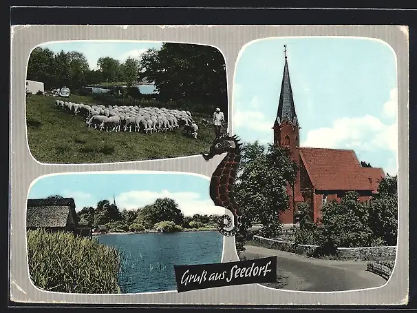 AK Seedorf am Schaalsee, Kirche, Hirte mit Schaafen, Uferpartie