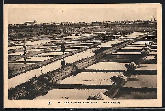 AK Les Sables d`Olonne, Marais Salants