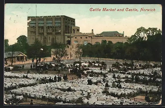 AK Norwich, Cattle Market and Castle