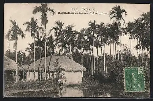 AK Tonkin, Habitation entourée d`Aréquiers