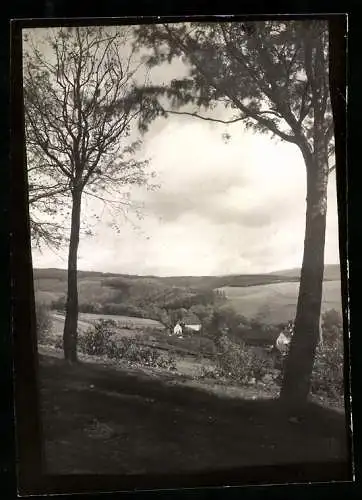 Fotografie W. Apel, Berlin, Ansicht Osterode / Harz, Partie am Ortsrand