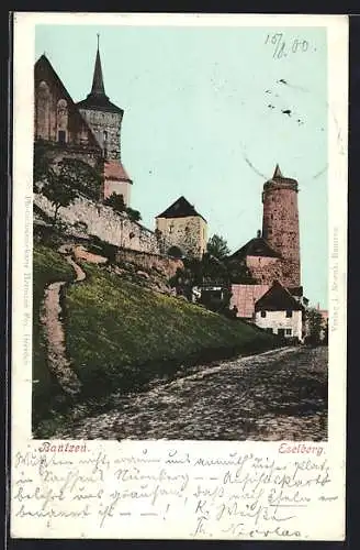 AK Bautzen, Burg am Eselberg