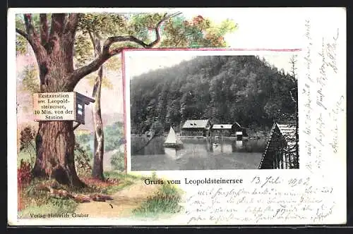 AK Eisenerz, Restaurant Leopoldsteinersee, Passepartout mit Baum