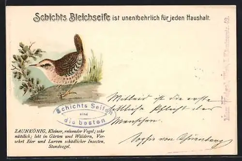 Lithographie Reklame für Schichts Bleichseife, Zaunkönig