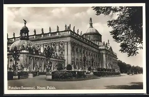 AK Potsdam-Sanssouci, Neues Palais