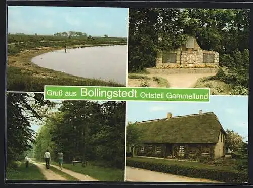 AK Bollingstedt OT Gammellund, Bauernhaus, Denkmal, Waldpartie