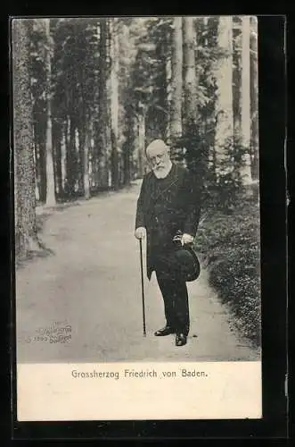 AK Villingen, Grossherzog Friedrich von Baden beim Waldspaziergang, Waldhotel