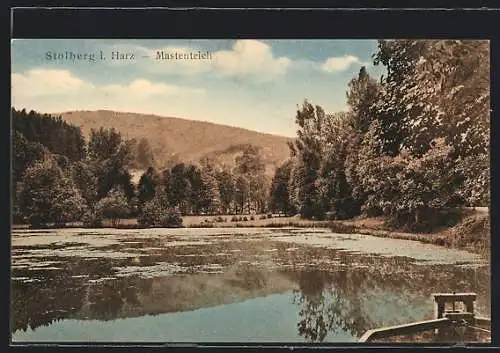 AK Stolberg i. Harz, Blick über den Mastenteich