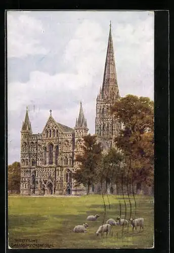 Künstler-AK Salisbury, Grazing sheep near the west front of Salisbury Cathedral