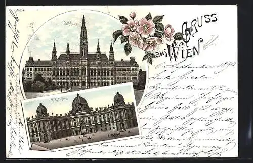 Lithographie Wien, Blick zum Rathaus und Hofburg