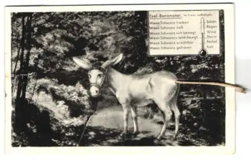 Mechanische-AK Esel-Barometer zum Aufhängen im Freien