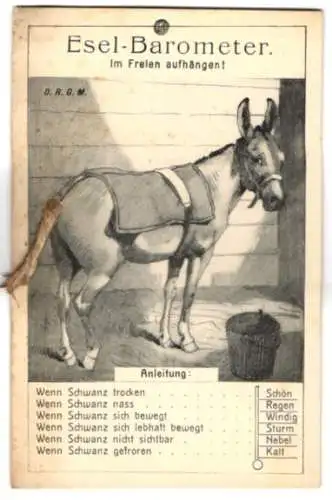 Mechanische-AK Esel-Barometer, Meteorologie