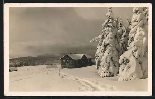 AK Riesengebirge, Blick zur Bodenwiesbaude im Schnee