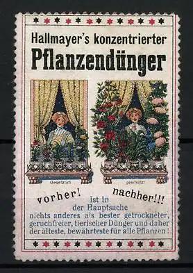 Reklamemarke Hallmayer's konzentrierter Pflanzendünger, Blumenwachstum vorher und nachher