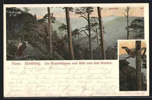 AK Ilsenburg, Westerklippen und Blick nach dem Brocken, Raubvogel