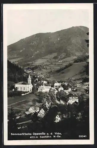 AK Opponitz, Blick über den Ort mit der Pfarrkirche vom Hang aus