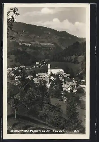 AK Opponitz an der Ybbs /N.-Ö., Teilansicht mit Kirche