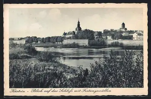 AK Küstrin, Blick auf das Schloss mit Festungswällen