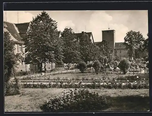 AK Aschersleben, Rosarium und Stadtbad