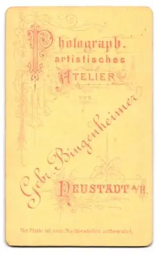 Fotografie Gebr. Bingenheimer, Neustadt a. H., Bürgerlicher Herr im Anzug mit Fliege und schwarzem Sakko-Kragen