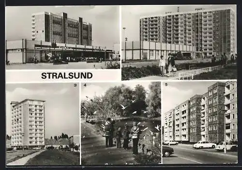 AK Stralsund, Kaufhalle 8. März, Hans-Marchwitza-Strasse, Knieper Vorstadt, Knieperteich, Heinrich-Heine-Ring