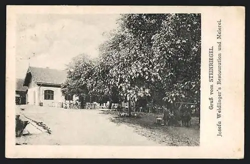 AK Steinriegel, Josefa Weidlinger`s Restaurant und Meierei