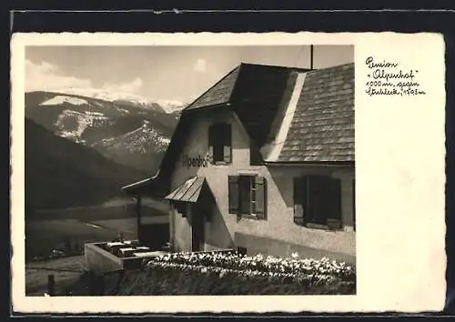 AK Steinhaus am Semmering, Pension Alpenhof gegen Stuhleck