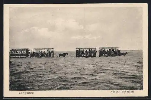 AK Langeoog, Ankunft der Gäste, Pferdebahn im Wasser