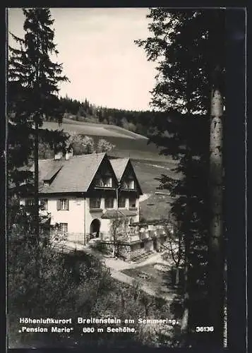 AK Breitenstein am Semmering, Hotel-Pension Marie