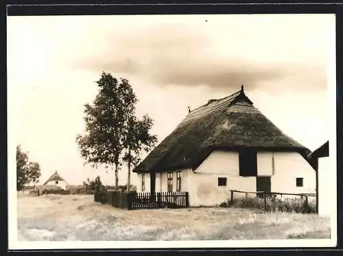 AK Trassenheide /Usedom, Blick auf ein kleines Haus