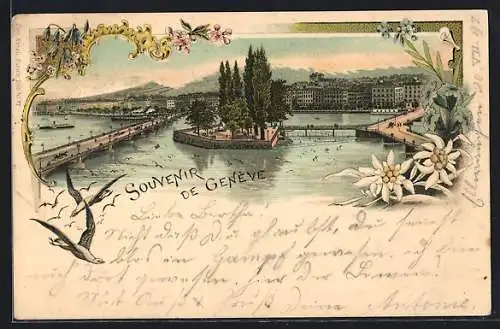 Lithographie Geneve, Blick über den See zum Ort