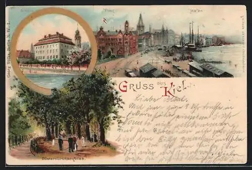 Lithographie Kiel, Hafenpanorama mit Post, Düsternbroker Allee