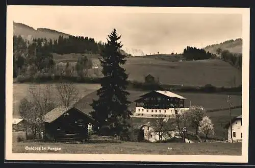 AK Goldegg im Pongau, Teilansicht in der Hügellandschaft