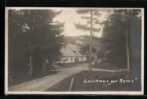 AK Kranichberg, Gasthaus zur Rams mit Strasse