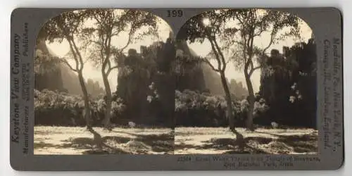 Stereo-Fotografie Keystone View, Meadville, Ansicht Utah, Temple of Sinawava, Zion National Park