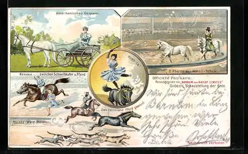 Lithographie Zirkus Barnum and Bailey Limited, Pferdesport, Dressur