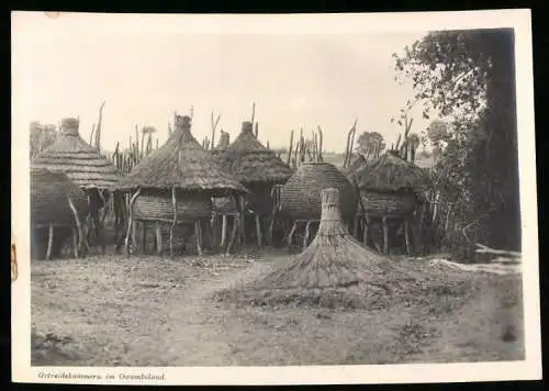 Fotografie unbekannter Fotograf, Ansicht Deutsch-Südwestafrika / Namibia, Eingeborenen Getreidekammern in Owamboland