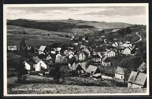 AK Steinbach-Oberdorf /Erzgeb., Teilansicht