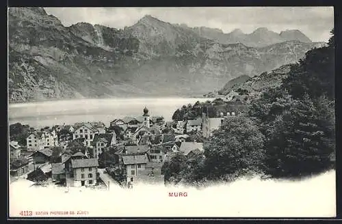 AK Murg, Teilansicht mit Wasser- und Bergblick