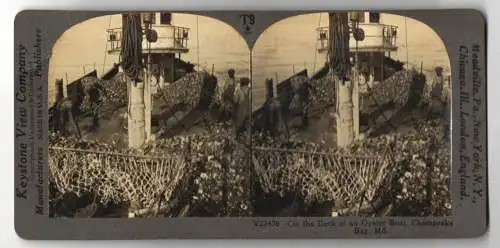 Stereo-Fotografie Keystone View Co., Meadville, on the Deck of an Oyster Boat at Chesapeake Bay, Austernfischer