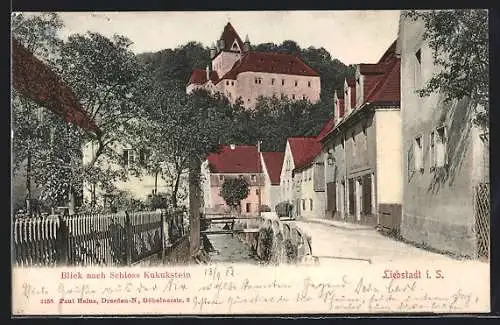 AK Liebstadt i. S., Strassenpartie am Ufer mit Schloss Kukukstein