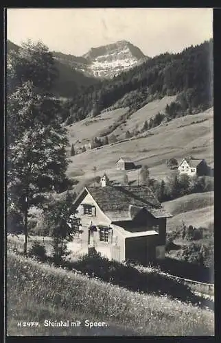 AK Ebnat-Kappel, Steintal mit Speer