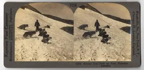 Stereo-Fotografie Keystone View Co., Meadville, Ansicht Hopedale, Eskimo Dog Team in Trail