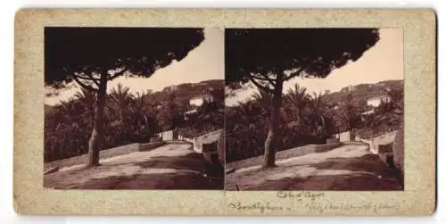 Stereo-Fotografie unbekannter Fotograf, Ansicht Bordighera, Strasse im Ort an der Cote d`Azur