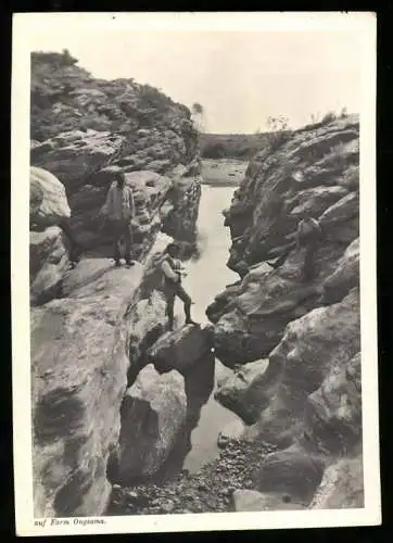 Fotografie unbekannter Fotograf, Ansicht Deutsch-Südwestafrika / Namibia, Wasserlauf der Farm Ongeama